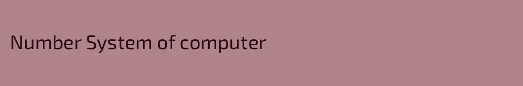 Number System of computer